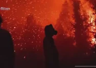 Asap akibat kebakaran hutan dan lahan yang menyelimuti kawasan vegetasi di Indonesia