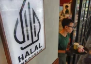 Ilustrasi sertifikasi halal dan penyesuaian aturan produk halal di Indonesia