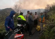 Kawasan Gunung Bromo yang terdampak kebakaran hutan dan lahan