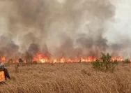 Petugas gabungan berusaha memadamkan api di lahan Taman Nasional Way Kambas