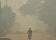 Petugas kepolisian melakukan investigasi di lokasi kebakaran hutan dan lahan