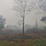 Petugas kepolisian saat melakukan penyidikan di lokasi kebakaran hutan dan lahan di Kalimantan