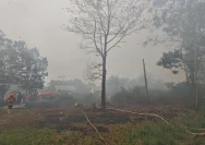Petugas kepolisian saat melakukan penyidikan di lokasi kebakaran hutan dan lahan di Kalimantan