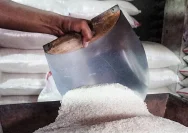 Petugas memperlihatkan barang bukti beras SPHP yang dioplos menjadi beras premium