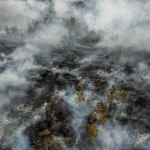 Petugas sedang melakukan upaya pemadaman kebakaran hutan dan lahan