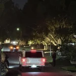Suasana kedatangan pejabat negara di Istana Bogor untuk menghadiri rapat kabinet.